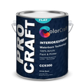 ProCraft Int/Ext Paint Satin